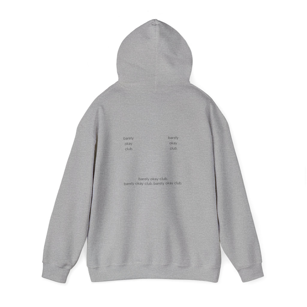 Barely Okay Hoodie- Meh