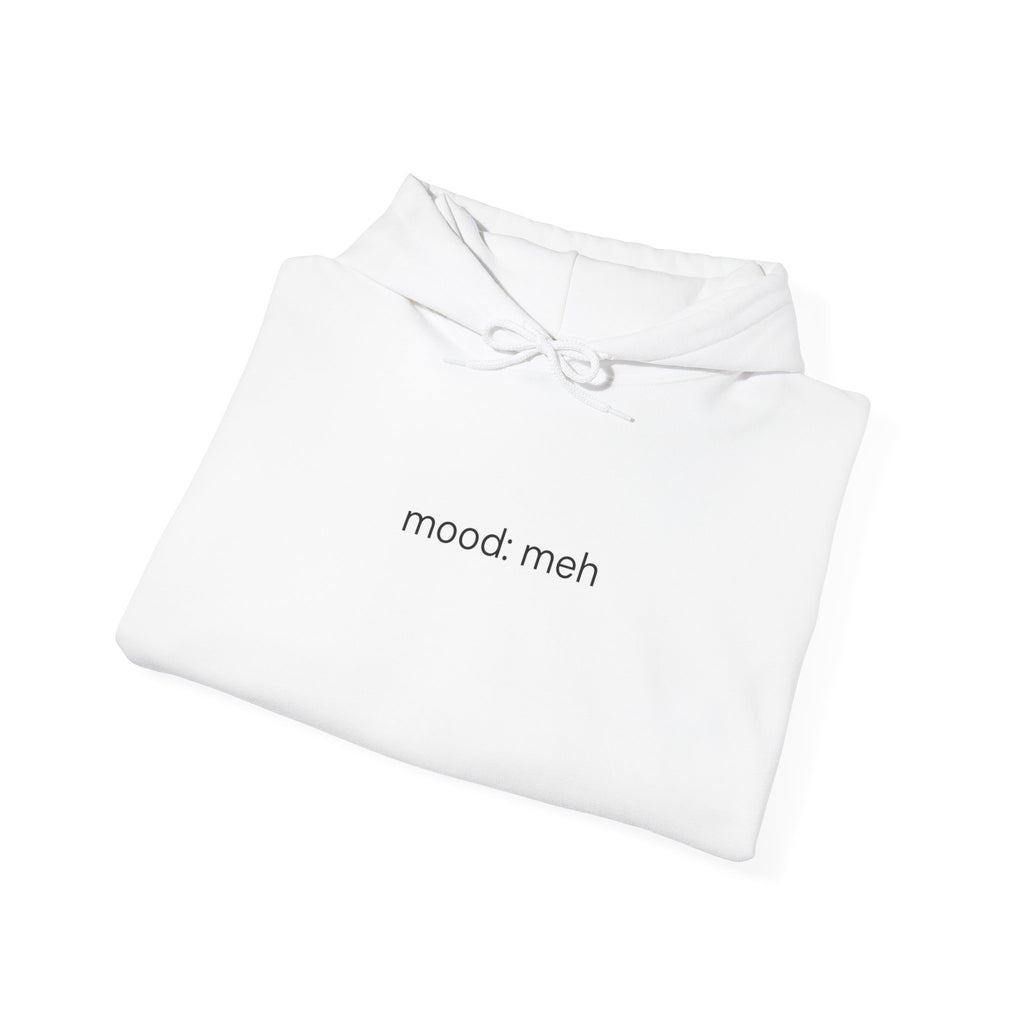 Barely Okay Hoodie- Meh